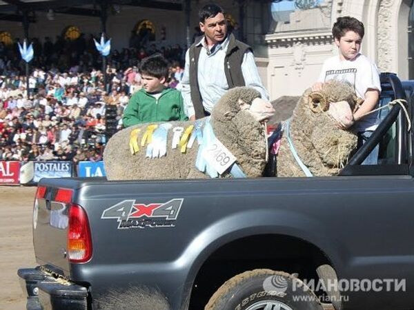 Фермеры демонстрируют рекордсменов-овец на сельскохозяйственной выставке в Буэнос-Айресе