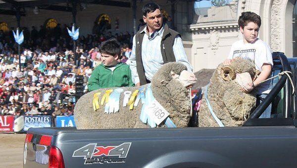 Фермеры демонстрируют рекордсменов-овец на сельскохозяйственной выставке в Буэнос-Айресе