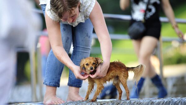 Девушка купает собаку в фонтане