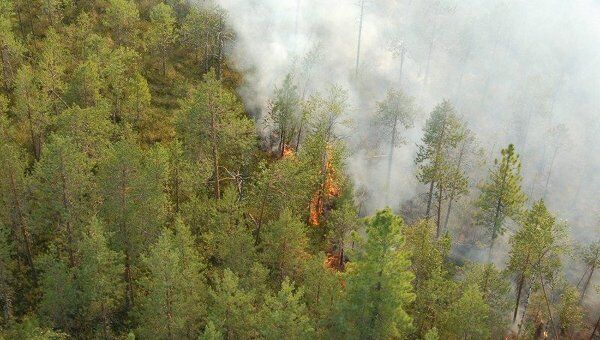 Лесные пожары в Югре