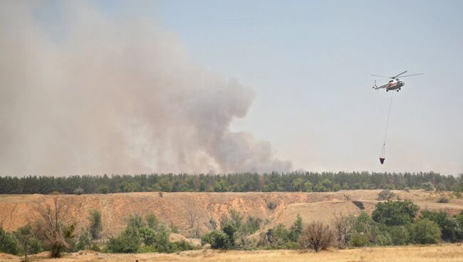 Тушение лесных пожаров в Волгоградской области