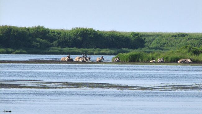 Кроноцкий заповедник