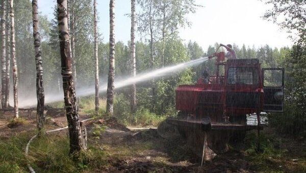 Тушение лесного пожара в Холмогорском районе Архангельской области. Архив