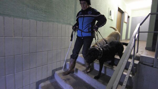 Инвалид по зрению со своими собаками-поводырями. Архив