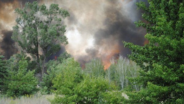Лесные пожары в Ростовской области