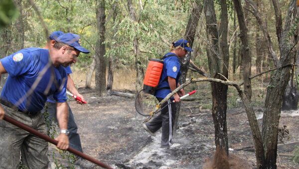 Волонтеры и пожарные ликвидируют лесной пожар. Архив