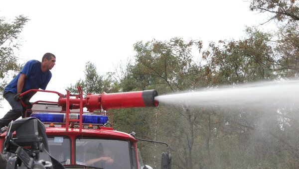Волонтеры и пожарные ликвидируют очаги в Обливском лесу.