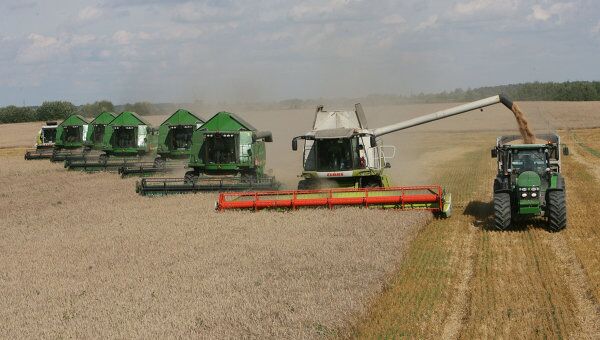 Уборка пшеницы на полях сельхозпредприятия Долгов и компания. Архив