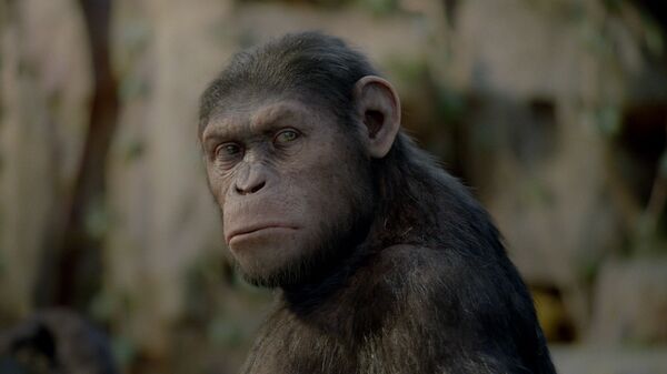 Кадр из фильма Восстание планеты обезьян