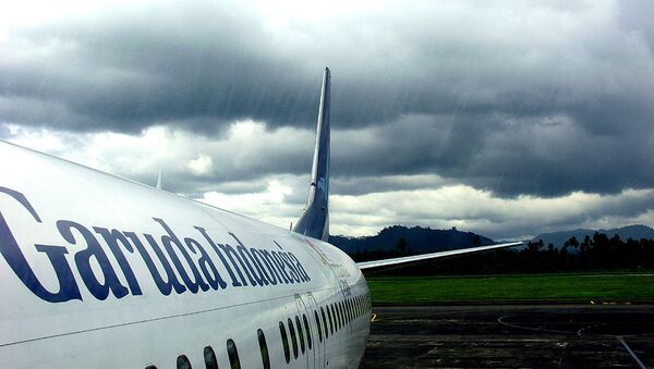 Самолет авиакомпании Garuda Indonesia. Архивное фото