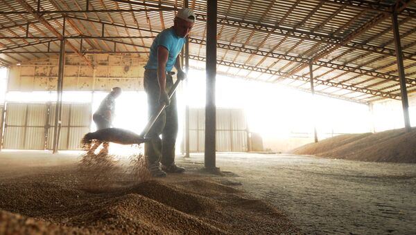 Хлеборобы Татарстана собрали более 2 млн тонн зерна