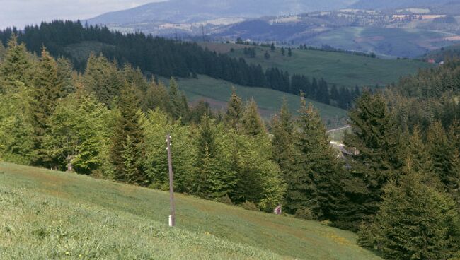 Закарпатье. Архив