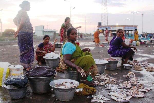 Жены рыбаков расфасовывают по металлическим бадьям улов
