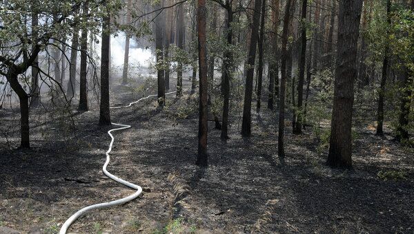 Тушение лесных пожаров. Архив