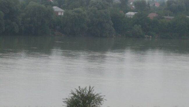 Сбежавший крокодил