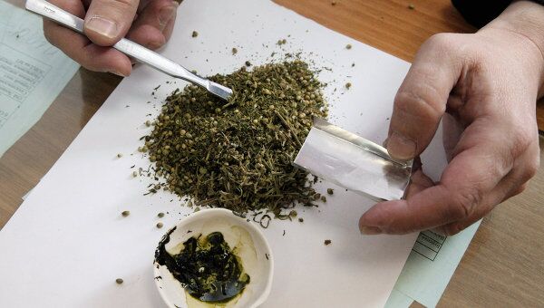Магадан марихуана как отличить семена конопли