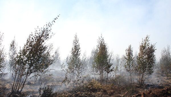 Тушение лесного пожара в Егорьевском районе Московской области