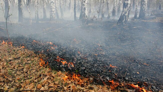 Тринадцать домов сгорело в деревне в Нижегородской области