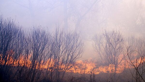 Лесные пожары в канадской провинции Британская Колумбия бушуют уже почти две недели