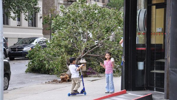 Последствия урагана Айрин в Нью-Йорке. Более 600 деревьев вырвала в городе Айрин.