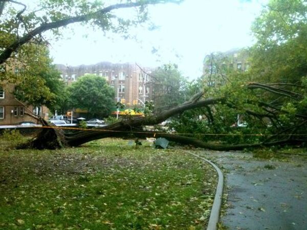Ураган Айрин вырвал с корнем деревья в бруклинском парке