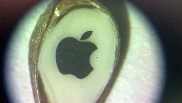 Apple на яблочном зернышке, или Подарок Стиву Джобсу от омского Левши