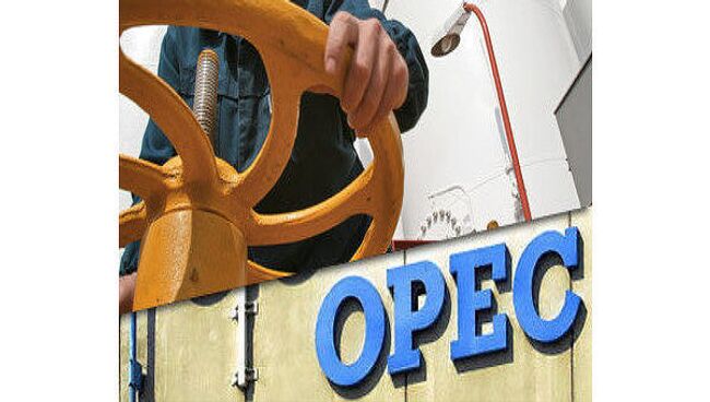 Баррель нефти ОПЕК 11 октября подорожал на 0,5 доллара