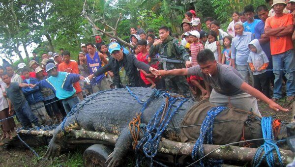 Самый большой в мире крокодил скончался на Филиппинах - РИА Новости,  11.02.2013