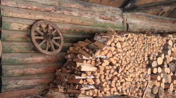 Жители новостройки в Киеве начали отапливаться дровами 