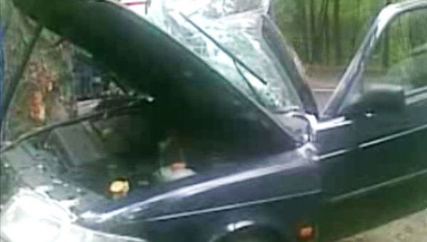 Saab влетел в дерево в московском парке Сокольники, пассажир погиб мгновенно