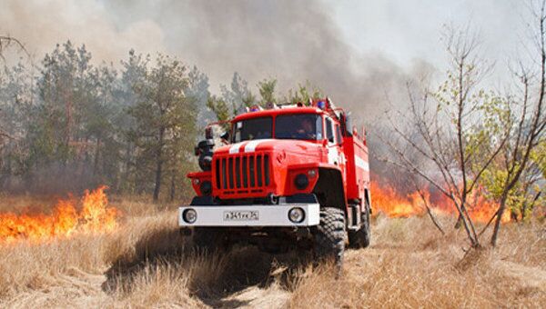 Втрое возросла площадь лесных и торфяных пожаров в России 