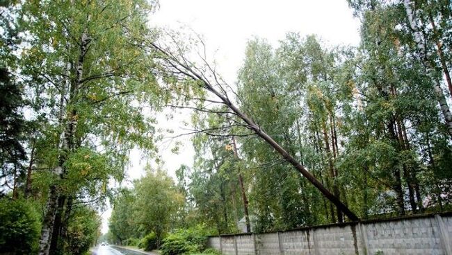 звонок в часть, вернее не посредственно начальнику отряда Ка