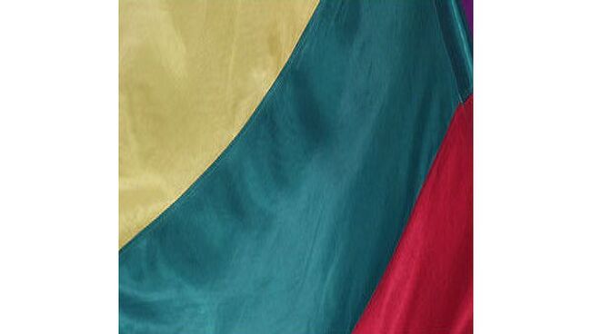 Итоги расследования по вопросу о тюрьме ЦРУ в Литве объявят во вторник