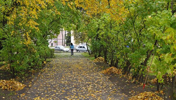Осенние дожди и постепенное похолодание ждут Москву на этой неделе