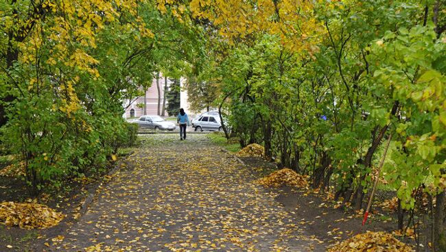 Золотая осень