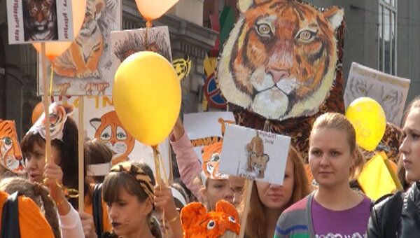 Тысячи человек прошли тигриным шествием по Владивостоку