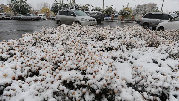 В Чите выпал первый снег