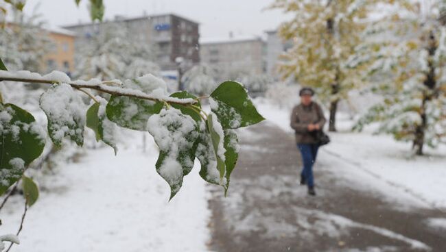 В Чите выпал первый снег