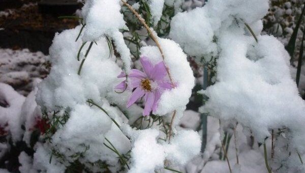 Циклон принес в Читу первый снег
