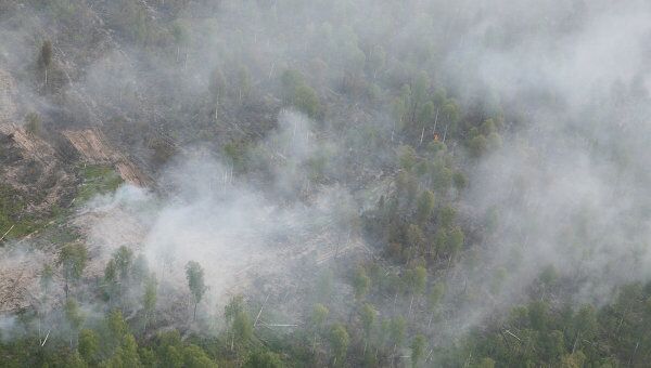 Лесные пожары в Гайнском районе Пермского края