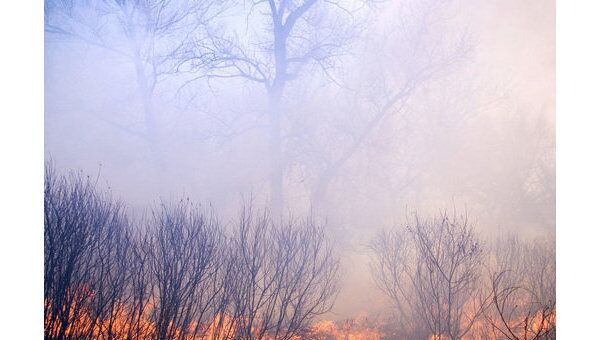 Три лесных пожара бушуют в центральной части Якутии