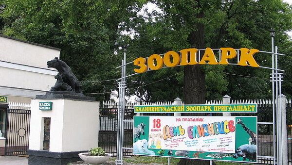 Калиниградский зоопарк. Архивное фото