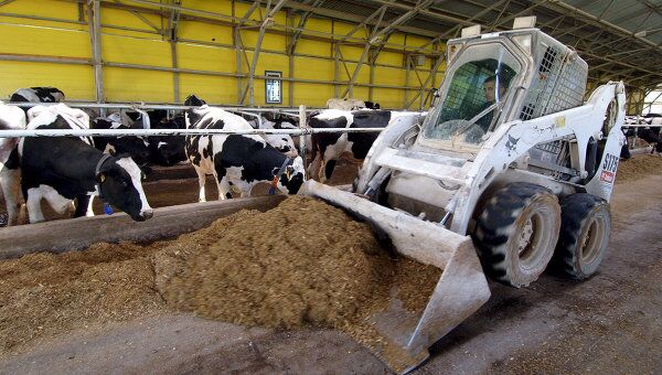 Производство современных молокодоильных роботов будет налажено в России, заявил в субботу первый заместитель председателя правительства РФ Виктор Зубков