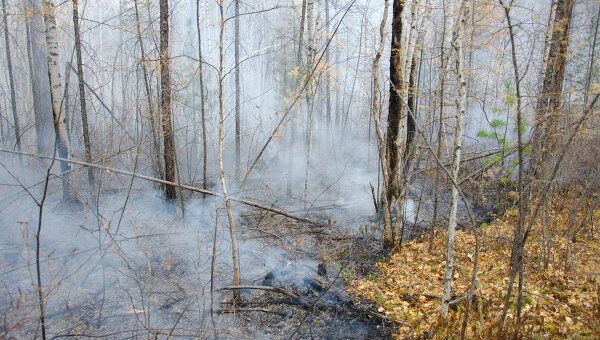 Тушение лесного пожара. Архив