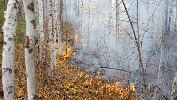 Тушение лесных пожаров в Забайкалье. Архив