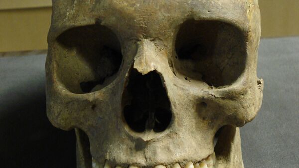 Череп жертвы “черной смерти”, найденный Краузе и его коллегами на кладбище Ист Смитфилд