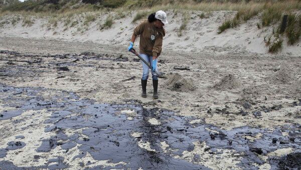 Волонтеры устраняют последствия разлива нефти в Новой Зеландии