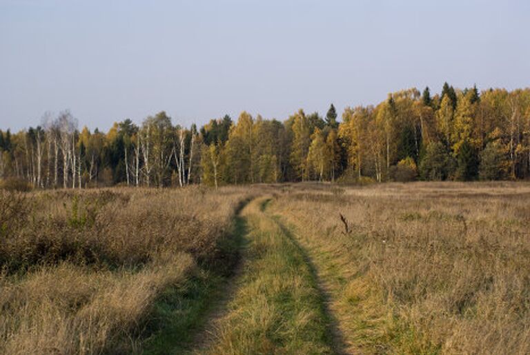 Золотая осень и все