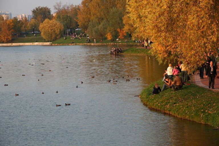 Золотая осень и все