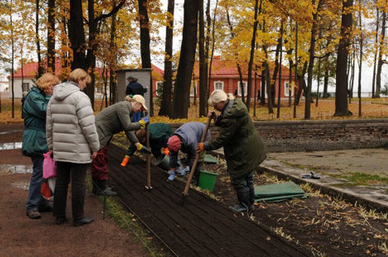 Озеленители парка уже убрали однолетние  цветы и готовят клу